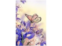 40X60CM MOTYLKI OBRAZ