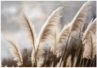 Fototapeta Winylowa Do Sypialni Salonu Trawa Pampasowa 254x184