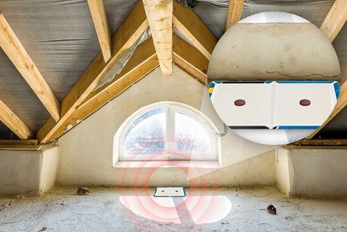 PUŁAPKA LEPOWA LEP MYSZOŁAPKA NA MYSZY SZCZURY I GRYZONIE NO PEST Z na Arena.pl