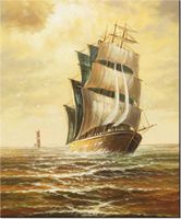 60CM 50CM OBRAZ ŚCIENNY MORSKIE PODBOJE DRUK PŁÓTNO