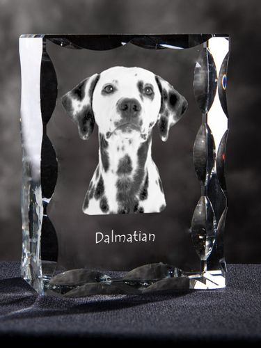 Dalmatyńczyk ramka kryształowa z psem Art-Dog na Arena.pl