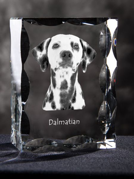 Dalmatyńczyk ramka kryształowa z psem Art-Dog zdjęcie 5