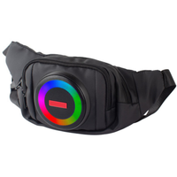 Torba z głośnikiem Bluetooth 10W, Saszetka do noszenia na pasie lub ramieniu, Głośnik przenośny - biodrówka