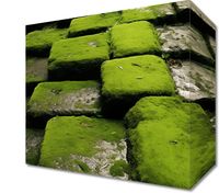 Obraz 20x20cm Zielona Mozaika