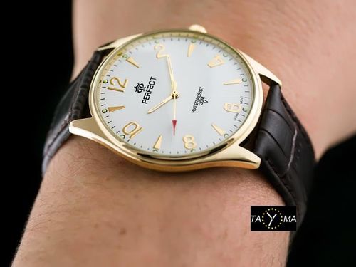 PERFECT C141 - RAVE (zp104j) na Arena.pl