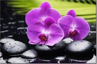 product-compare-58682265