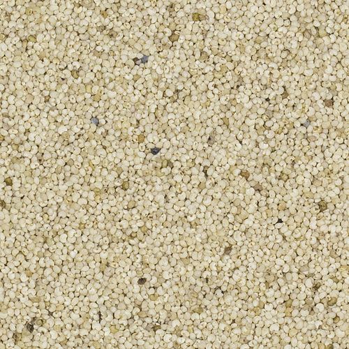 Mak biały 500g na Arena.pl