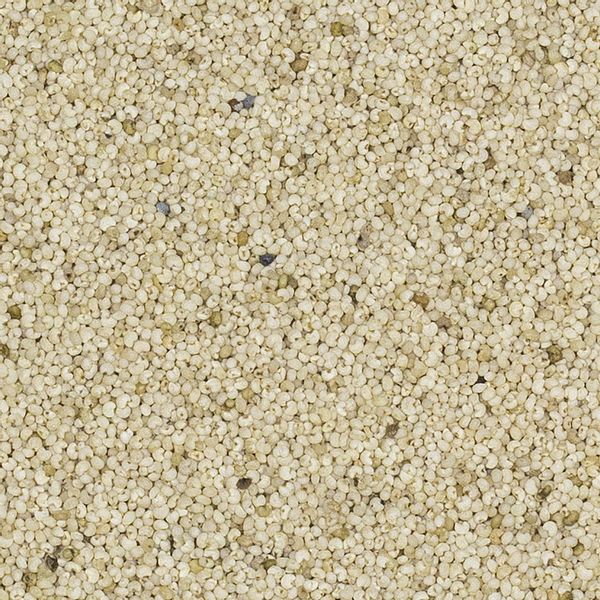 Mak biały 500g zdjęcie 3