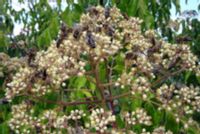 product-compare-48113174