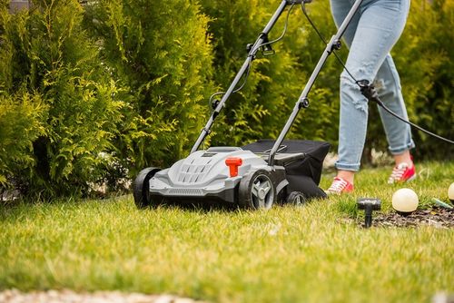 AERATOR WERTYKULATOR ELEKTRYCZNY LEHMANN TRAWY REGULACJA Z KOSZEM 2500W na Arena.pl