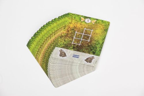 Gra Odfrunęło z wiatrem na Arena.pl