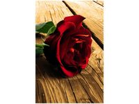 40X60CM RÓŻA UKOCHANEJ OBRAZ