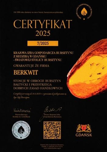 NASZYJNIK NA ZĄBKOWANIE BURSZTYN FASOLKA NIEPOLEROWANY na Arena.pl