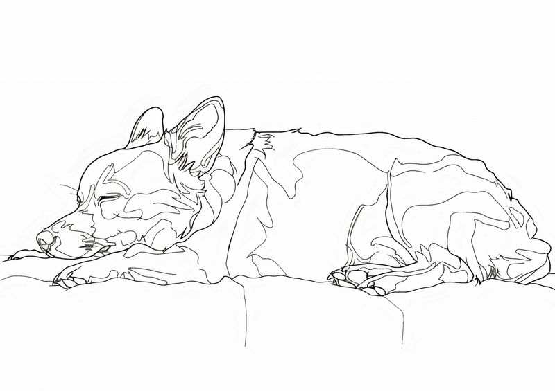 Plakat 84,1x59,4cm Śpiący Psiak zdjęcie 1