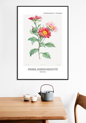 Plakat 40x60cm Design Red Aster, Redoute Vintage do Salonu na Arena.pl