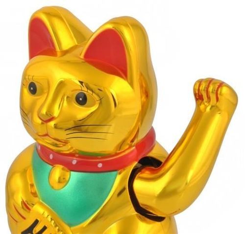 Kot chiński - złoty na Arena.pl