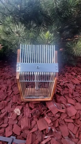 Zbieraczka do jagód duża i mocna na Arena.pl