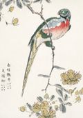 Plakat 21x29,7cm Macaw, Kashu Japoński Vintage do Salonu