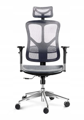 Fotel ergonomiczny Diablo Chairs V-Basic Czarno-szary na Arena.pl