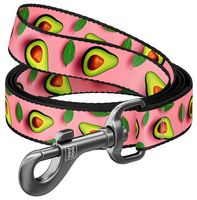 Collar Waudog Nylon Smycz Nylonowa M 20Mm/200Cm, Wzór Awokado Na Różu