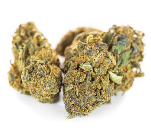 CBD SUSZ KONOPNY BLUEBERRY PRODUKT NATURALNY 20 g na Arena.pl