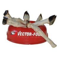 Vector-Food Giczka Jagnięca "York" 1Szt