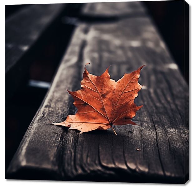 Obraz 100x100cm Pojedynczy Liść zdjęcie 1