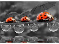 50X70CM SPACEREK OBRAZ POKOJU DREWNINE