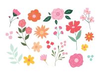 product-compare-51531474