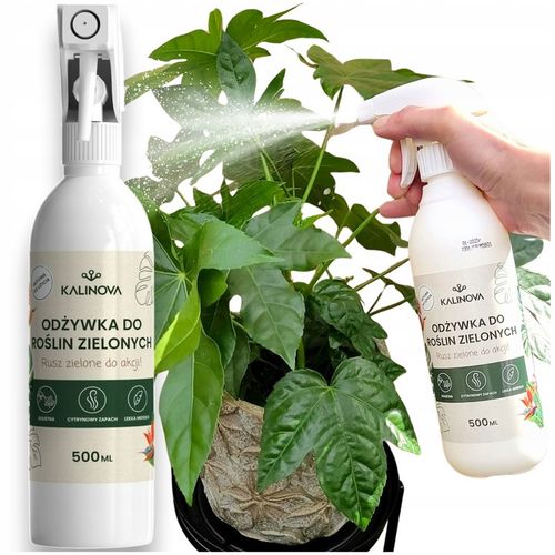 Odżywka Nawozowa Nawóz Do Liści Roślin Zielonych Monstery Palm Fikusa na Arena.pl