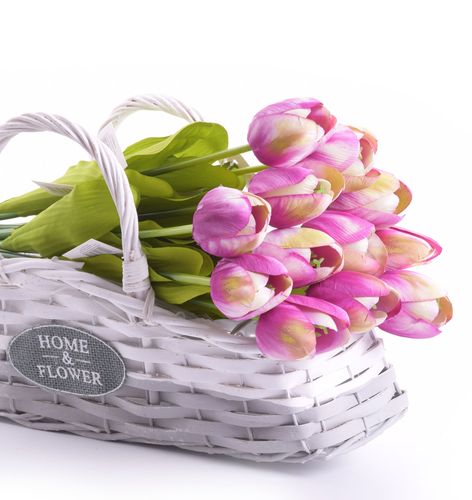 Tulipan 55cm fioletowy na Arena.pl