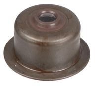 USZCZELNIACZ ZAWORU CEDRUS SILNIK Y170V 484138