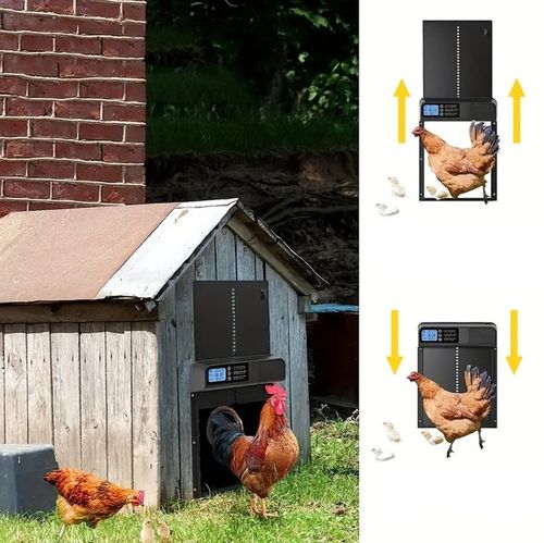 AUTOMATYCZNE DRZWI DO KURNIKA OTWIERANIE Z TIMEREM PROGRAMATOR CZUJNIK na Arena.pl