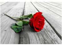 100 70CM OBRAZ PŁÓTNO RÓŻA DESKACH PŁÓTNO RAMA