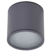 Zewnętrzna lampa sufitowa Alix AZ4057 IP65 okrągła outdoor szara