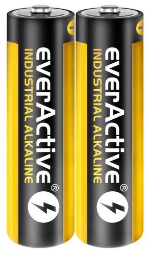 Zestaw baterii AA everActive EVLR6S2IK (x 40) na Arena.pl
