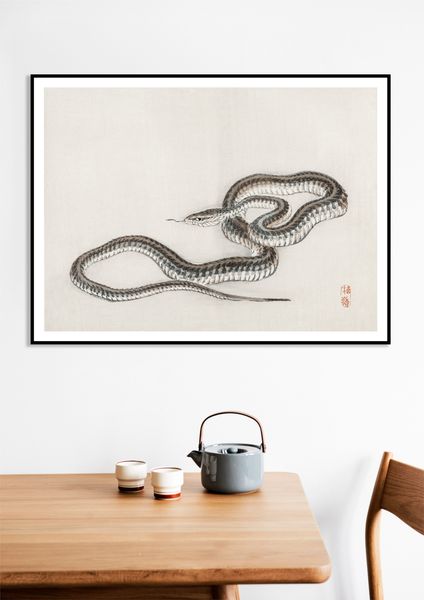 Plakat 40x30cm Snake, Kōno Bairei zdjęcie 9