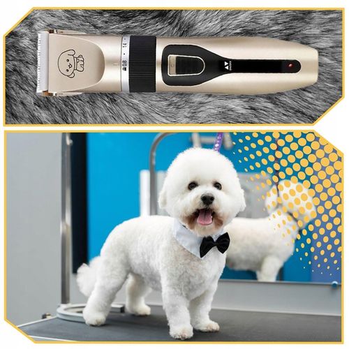 MASZYNKA DO STRZYŻENIA PSÓW PSA KOTA ZWIERZĄT ZESTAW CICHA PROFESJONALNA na Arena.pl