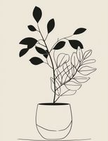 Plakat 50x65cm Prostota Doniczki