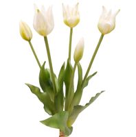 TULIPAN sztuczny TULIPANY SILIKONOWE BUKIET 5 sztuk BIAŁE