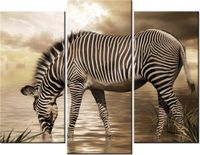 60 90CM OBRAZ 3 ELEM ZEBRA WODOPOJU ŚCIENNY DRUK PŁÓTNO