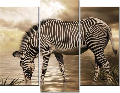 60 90CM OBRAZ 3 ELEM ZEBRA WODOPOJU ŚCIENNY DRUK PŁÓTNO na Arena.pl