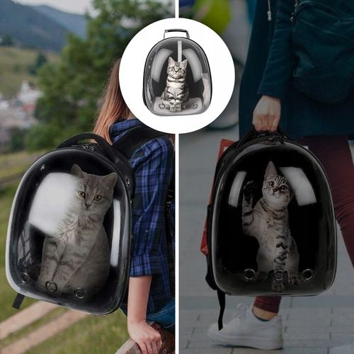 PLECAK DLA KOTA PSA TRANSPORTER PRZEZROCZYSTY WENTYLOWANY NA PSA NA KOTA na Arena.pl