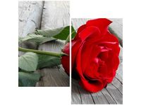 product-compare-58646239