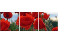 70 90CM OBRAZ 3 ELEM MAKI DUNCAN ŚCIENNY DRUK PŁÓTNO