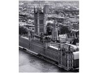 60CM 50CM OBRAZ ŚCIENNY LONDYN LOTU PTAKA DRUK PŁÓTNO