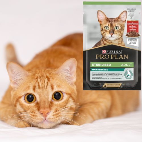 karma mokra dla kotów sterylizowanych pro plan sterlised z wołowiną 85 g na Arena.pl