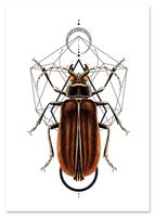 Plakat cyfrowy do wydruku robak geometria
