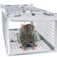 PUŁAPKA ŻYWOŁAPKA NA SZCZURY MYSZY GRYZONIE KUNY ŁAPKA DO ŁAPANIA