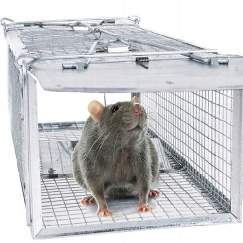 PUŁAPKA ŻYWOŁAPKA NA SZCZURY MYSZY GRYZONIE KUNY ŁAPKA DO ŁAPANIA na Arena.pl